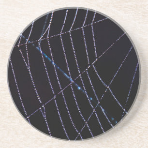Porta-copos Web Spider