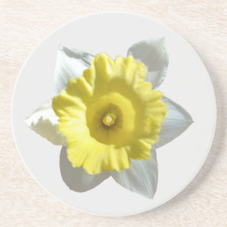 Porta-copos White Daffodil Sandstone Coaster