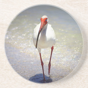 Porta-copos White Ibis Strut