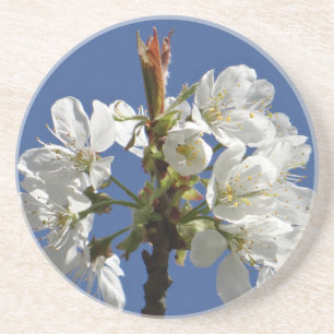 Porta-copos White Primavera Bloom
