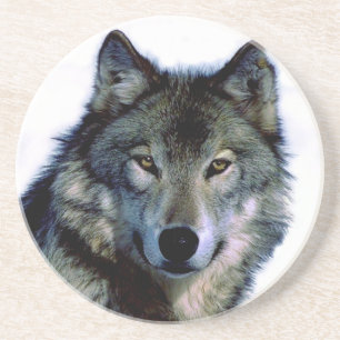 Porta-copos Wolf Portrait