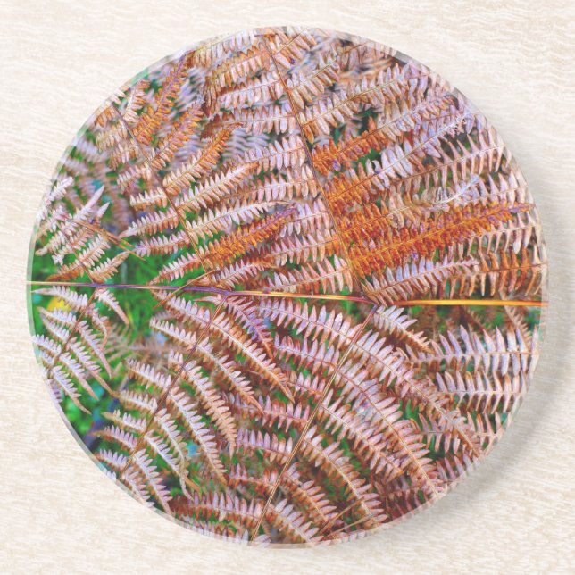Porta-copos Woodland Ferns (Frente)