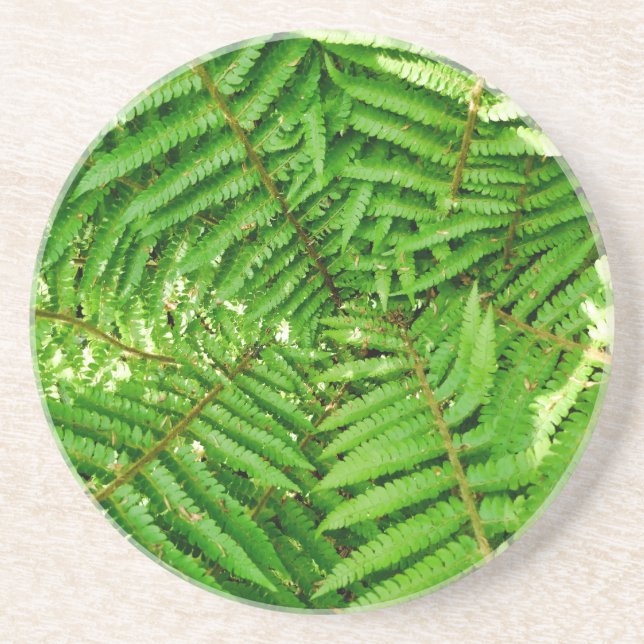 Porta-copos Woodland Ferns (Frente)