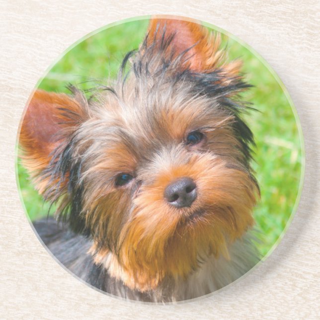 Porta-copos Yorkshire Terrier olhando para cima (Frente)