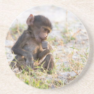 Porta-copos Young Baboon