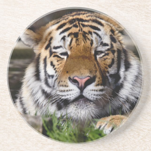 Porta-copos Zambar Tiger Coaster (Frente)