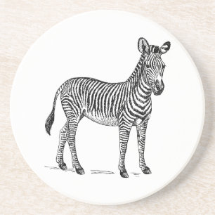 Porta-copos Zebra