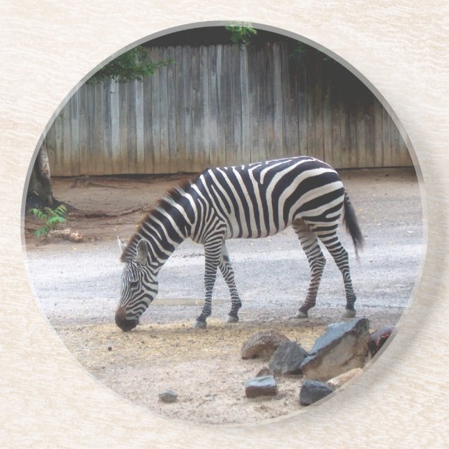 Porta copos Zebra (Frente)