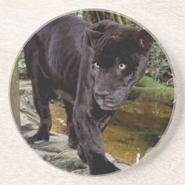 Porta-copos Zoológico da Cidade de Belize. Pantera negra (Frente)
