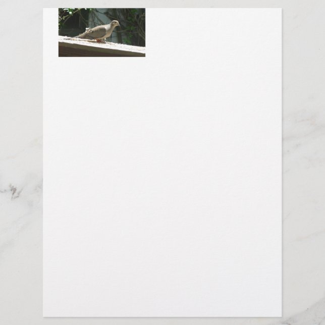 Porta de luto (Frente)