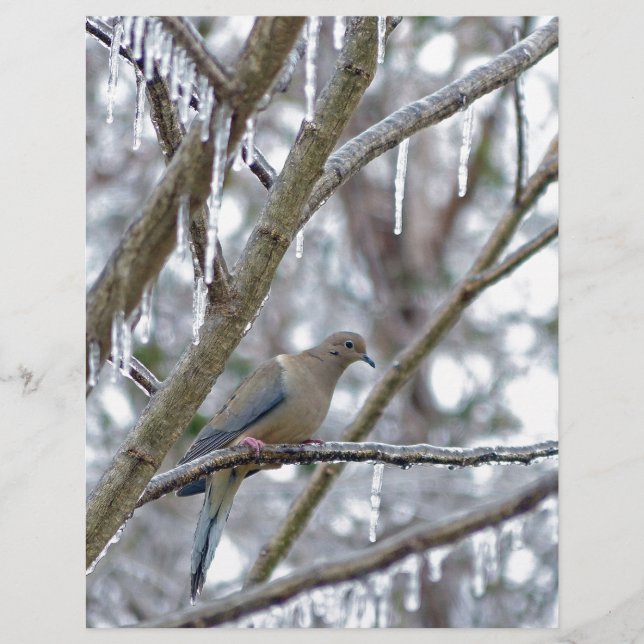 Porta de luto (Frente)