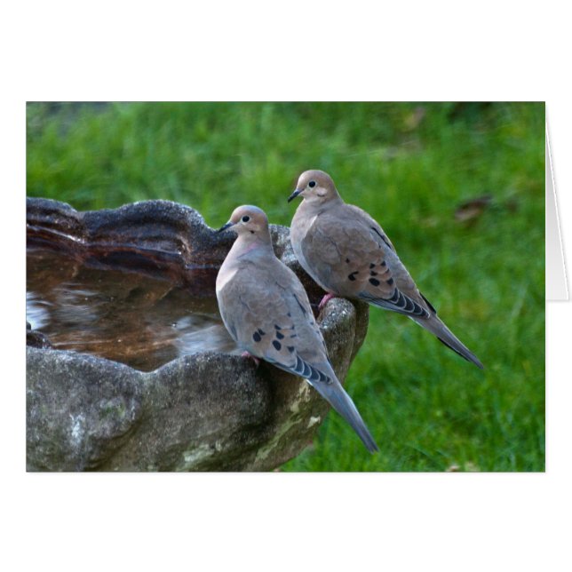 Porta de luto - Cartão de arte enquadrado (Frente Horizontal)