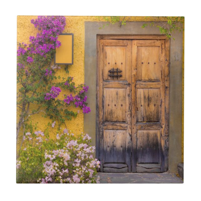 Porta de madeira (Frente)