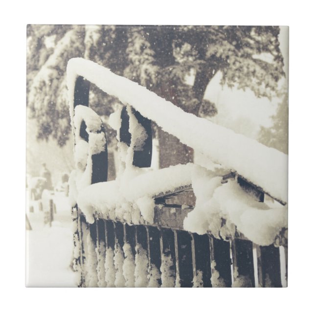 Porta do Cemitério de inverno (Frente)