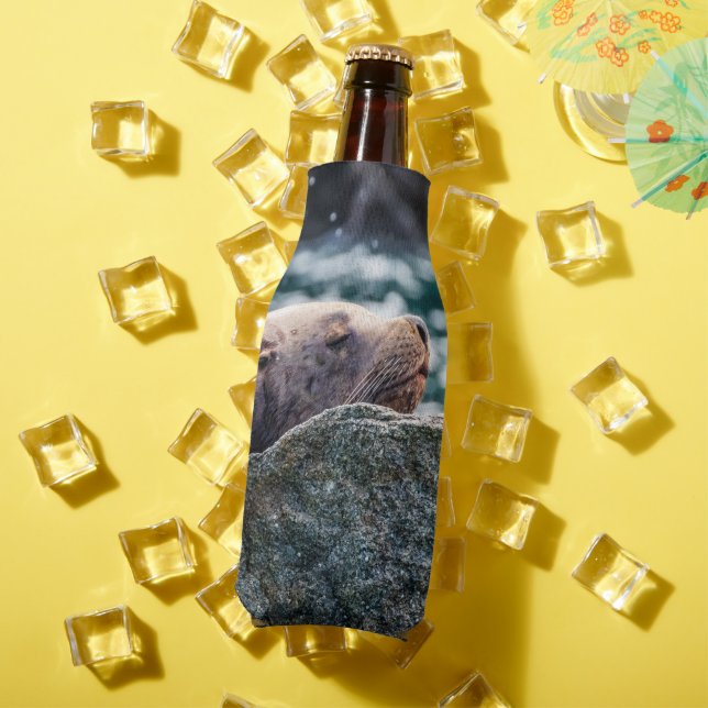 Porta-garrafa Leão-Do-Mar Na Baía De Ressurreição, Alasca (Verão in situ)