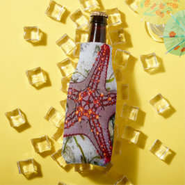 Porta-garrafa Starfish, Zanzibar, Tanzânia