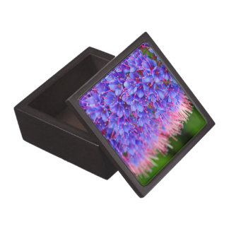 Porta Jóia Premium O rosa chicoteia a caixa de presente superior