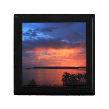 A coleção da natureza