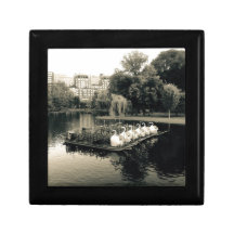 Boston Swan Boats em Preto e Branco