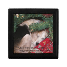 Caixa do memorial do animal de estimação