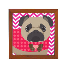 Pug com os pontos na listra de Chevron do rosa