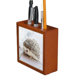 Porta-lápis Tiny Hedgehog
