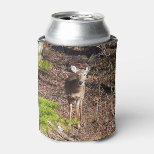 Porta-lata Adorável cervo na fotografia da natureza