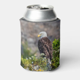 Porta-lata Águia caída sentada na rocha