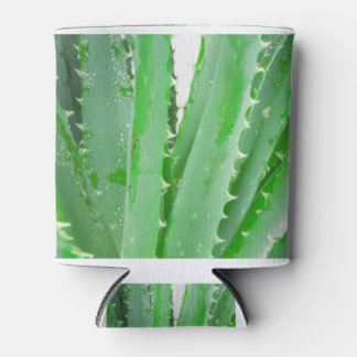 Porta-lata Aloe Vera