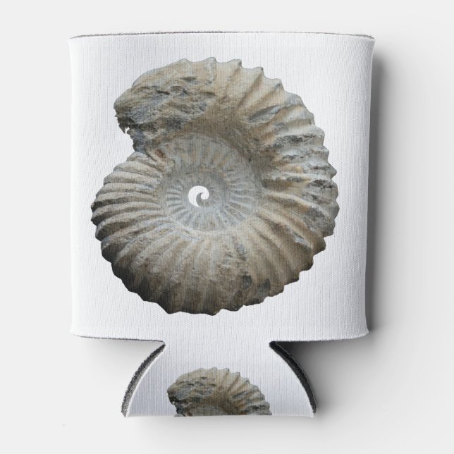 Porta-lata amonite (Frente)