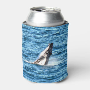 PORTA-LATA BALEIA DE HUMPBACK QUEENSLAND AUSTRÁLIA