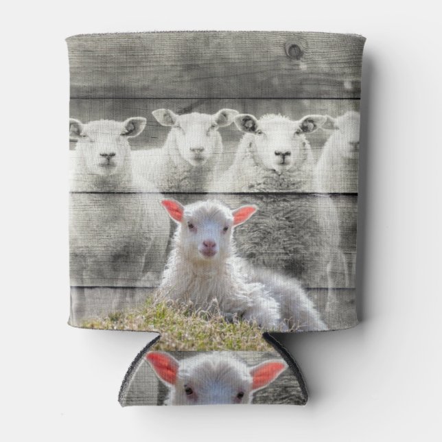 Porta-lata Bando De Ovinos, Bata De Bebê Pode Resfriar (Frente)