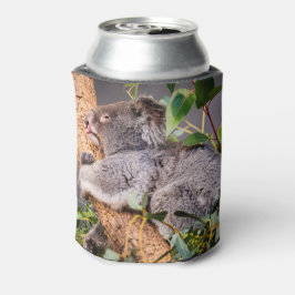 Porta-lata Bela coala