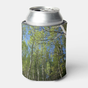 Porta-lata Bétulas de Verão nas Montanhas Rochosas