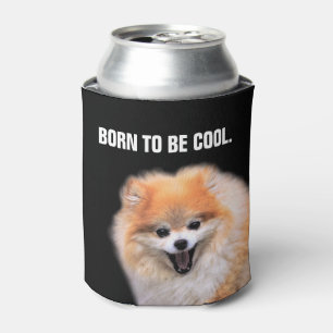 Porta-lata Cachorro Pomerano Rindo Bastante