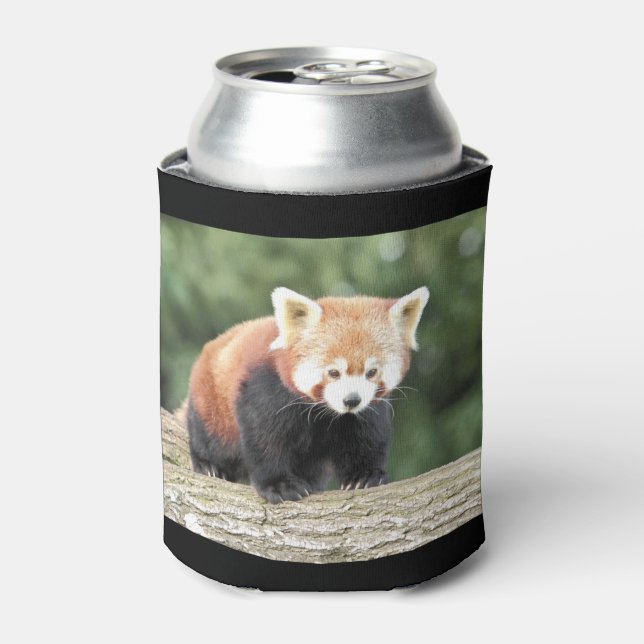 Porta-lata Can Cooler Photo Red Panda, animais 0001. (Can Front)