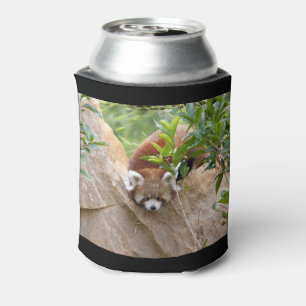 Porta-lata Can Cooler Photo Red Panda, animais 0069.