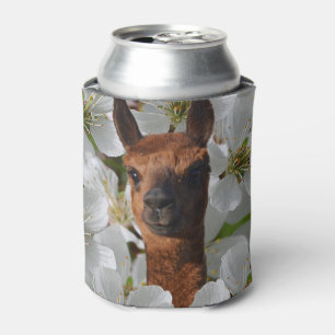 Porta-lata Castanho Jovem Alpaca Em Flores Brancas,