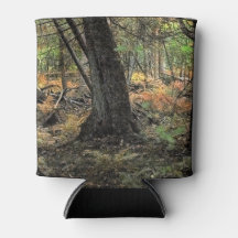 Cena da floresta do outono