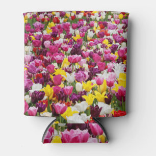 Porta-lata cheio de tulipas