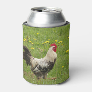 Porta-lata chicken, rooster, animal, bird, farm, agriculture,