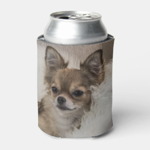 Porta-lata Chihuahua que relaxa
