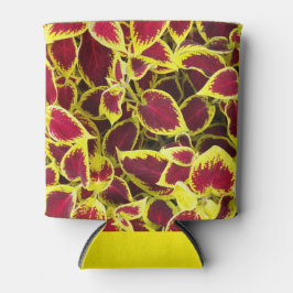 Porta-lata Coleus Plant Deixa Floral