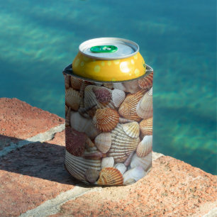 Porta-lata Conchas marítimas