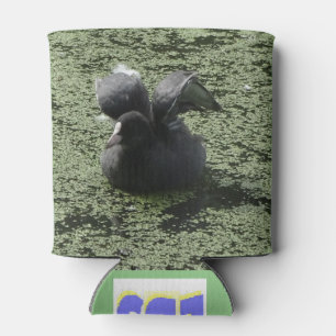 Porta-lata Coot bonito, pronto para voar, pode esfriar