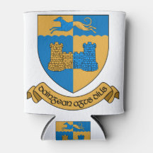 County Longford Irlanda