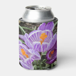 Porta-lata Crocos Primavera roxos.