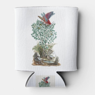 Porta-lata Dictyophorus spumans Koppie foam grafopper perhc