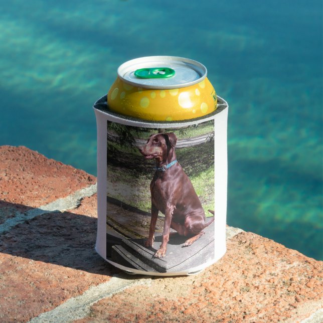 Porta-lata doberman vermelho (Piscina in situ)