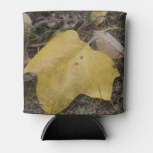 elegância do outono